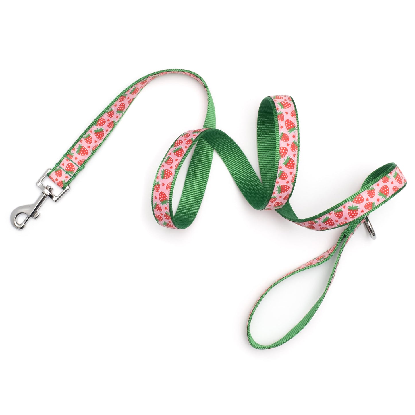 Stylish & Fashionable Mushrooms Dog Leash, Nylon Webbing, 5 Ft Length, Mint, Large